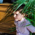 Gregor